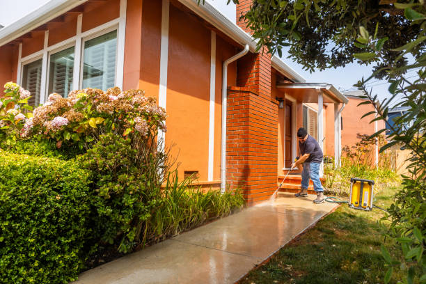 Best Best Pressure Washing Companies  in Lake View, AL